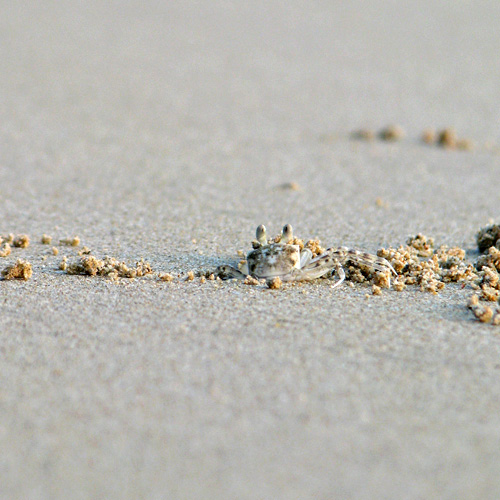 our Bangsak buddies!