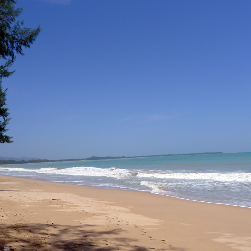 our new green season staff t’s